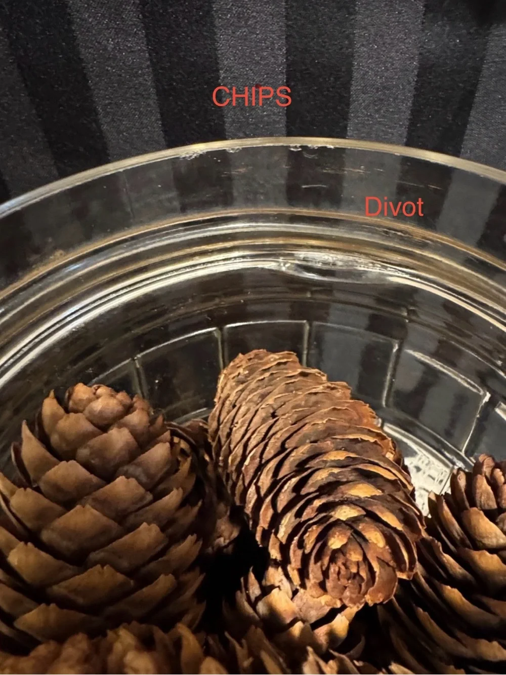 Vintage Barrel Shaped Glass Jar with Real Pine Cones